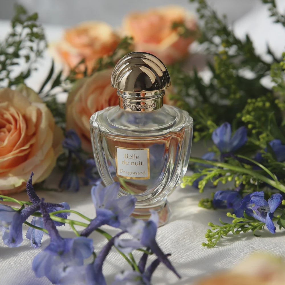 Fragonard belle de nuit 香水セット Nuit Intense Belle De Nuit Parfum Fragonard Perfume For Women